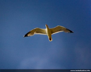 isoladiustica-10.JPG